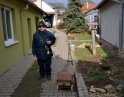 únor 2015 - Tradiční ostatky