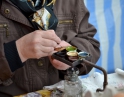 březen 2015 - Vítání jara