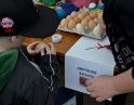 březen 2015 - Vítání jara