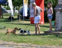 červen 2015 - Cyklistické závody