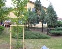 červen 2015 - Setkání rodáků a absolventů ZŠ Hodonice