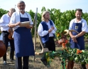 srpen 2015 - Zarážení hory