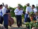 srpen 2015 - Zarážení hory