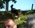 září 2015 - Výšlap s TJ Hodonice