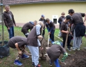 říjen 2015 - Sázení stromu mladými hasiči