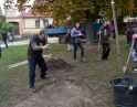 říjen 2015 - Sázení stromu mladými hasiči