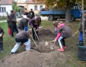 říjen 2015 - Sázení stromu mladými hasiči