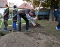 říjen 2015 - Sázení stromu mladými hasiči