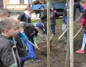 říjen 2015 - Sázení stromu mladými hasiči
