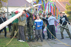 Martinské hody, stavění máje 6.11.2015