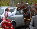 listopad 2015 - Martinské hody