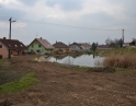 březen 2015 - Regenerace ploch sídelní zeleně