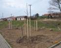 březen 2015 - Regenerace ploch sídelní zeleně