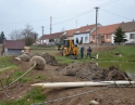 březen 2015 - Regenerace ploch sídelní zeleně