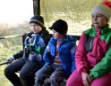 prosinec 2015 - Vánoční přikrmování zvěře