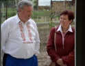 duben 2016 - Tulipánek