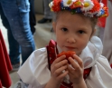 duben 2016 - Tulipánek