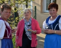 duben 2016 - Tulipánek