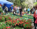 duben 2016 - Flora Olomouc