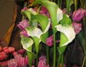 duben 2016 - Flora Olomouc