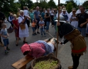 srpen 2016 - Zarážení hory