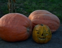 říjen 2016 - HALLOWEEN – Ohnivý podzim pro děti