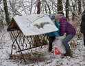 prosinec 2016 - Vánoční přikrmování zvěře