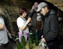 květen 2017 - Putování po tasovických a hodonických sklepech