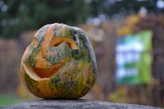 HALLOWEEN – Ohnivý podzim pro děti 28.10.2017
