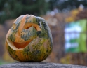 říjen 2017 - HALLOWEEN – Ohnivý podzim pro děti