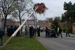Martinské hody, stavění máje 10.11.2017