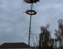 listopad 2017 - Martinské hody