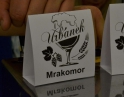 únor 2018 - Pivní korbel