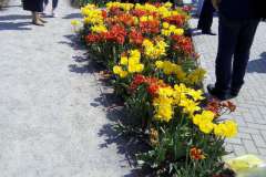 Flora Olomouc 28.4.2018