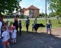 květen 2018 - Velký dětský den