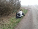 březen 2019 - Úklid větrolamů
