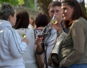 květen 2019 - Putování po tasovických a hodonických sklepech