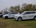 listopad 2019 - Škoda alej