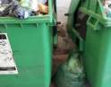 duben 2020 - Situace s odpady v obci