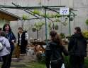 květen 2023 - Putování po tasovických a hodonických sklepech