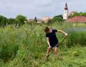 červen 2023 - Kosení lúky