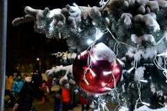 Rozsvěcení vánočního stromu 3.12.2023